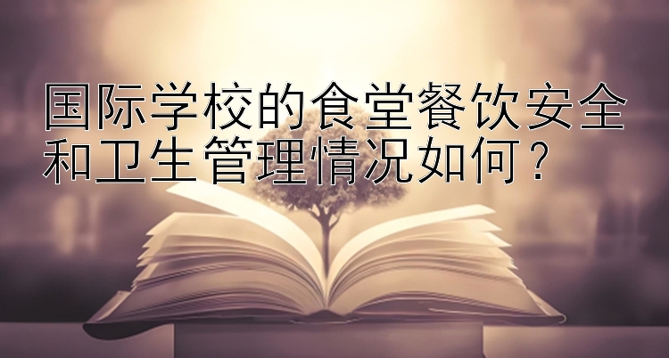 国际学校的食堂餐饮安全和卫生管理情况如何？