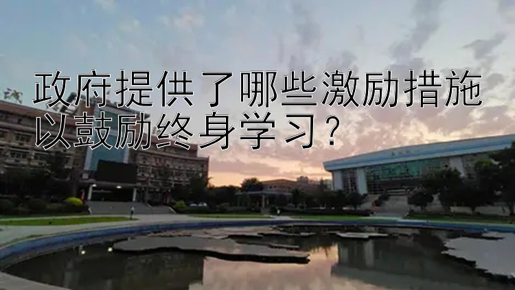 政府提供了哪些激励措施以鼓励终身学习？