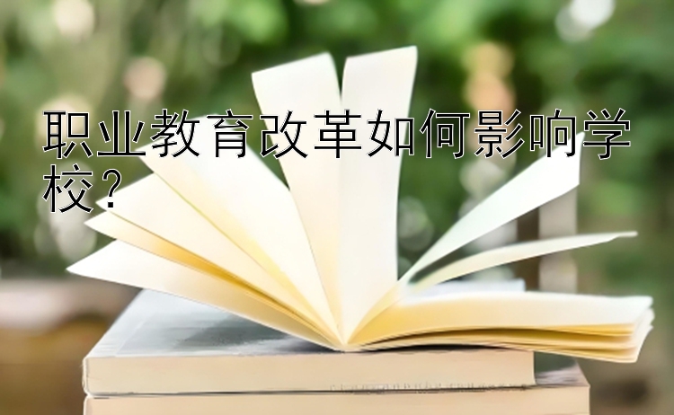 职业教育改革如何影响学校？