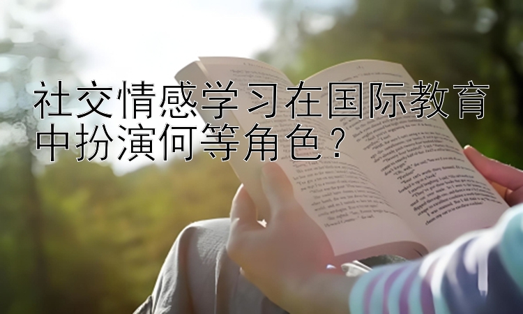 社交情感学习在国际教育中扮演何等角色？