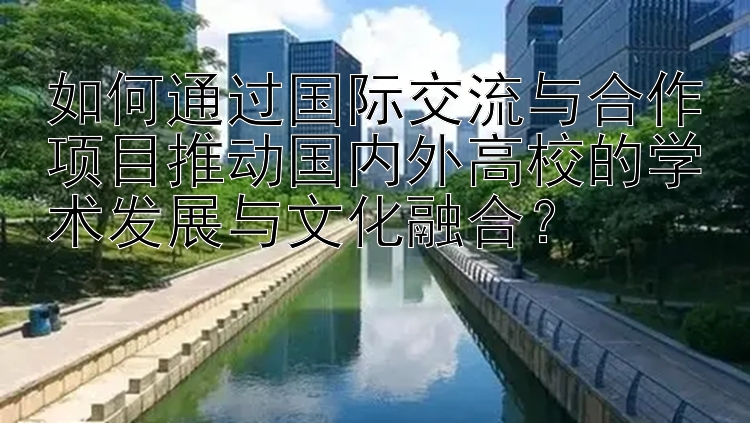 如何通过国际交流与合作项目推动国内外高校的学术发展与文化融合？