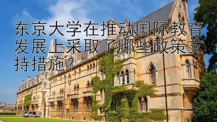 东京大学在推动国际教育发展上采取了哪些政策支持措施？