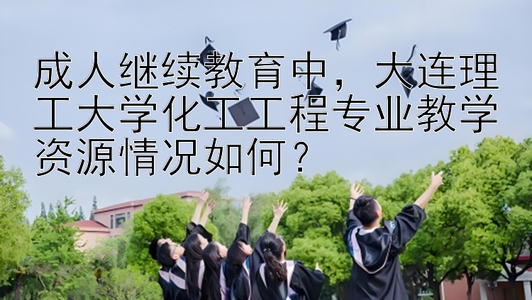 成人继续教育中，大连理工大学化工工程专业教学资源情况如何？