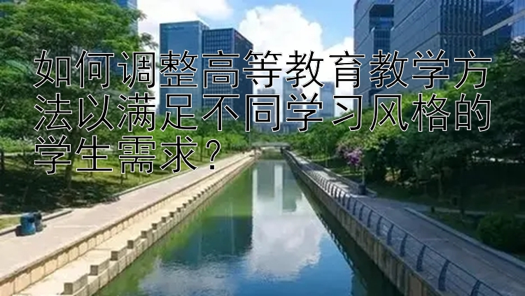 如何调整高等教育教学方法以满足不同学习风格的学生需求？