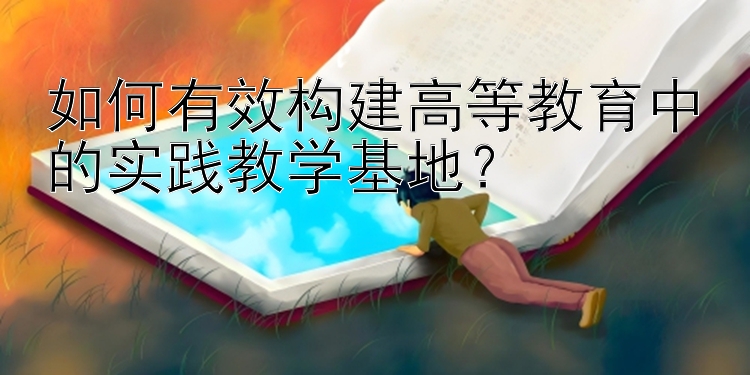 如何有效构建高等教育中的实践教学基地？