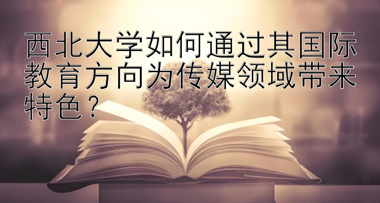 西北大学如何通过其国际教育方向为传媒领域带来特色？