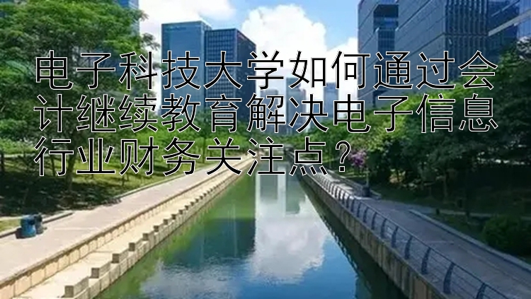 电子科技大学如何通过会计继续教育解决电子信息行业财务关注点？