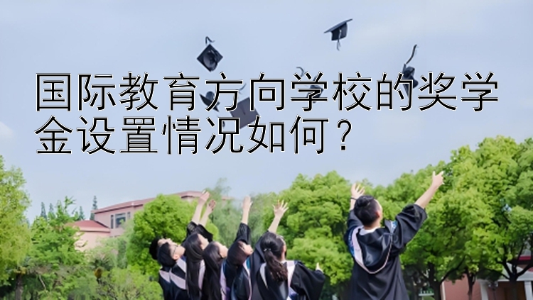 国际教育方向学校的奖学金设置情况如何？