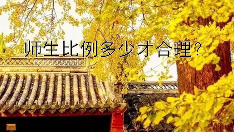 师生比例多少才合理？