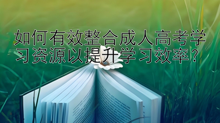 如何有效整合成人高考学习资源以提升学习效率？