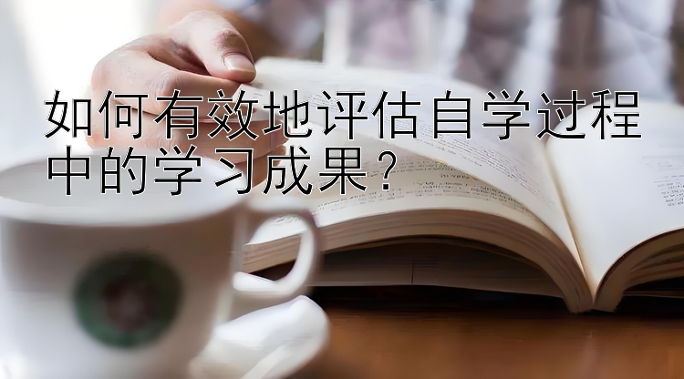 如何有效地评估自学过程中的学习成果？