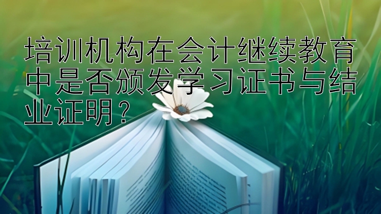 培训机构在会计继续教育中是否颁发学习证书与结业证明？