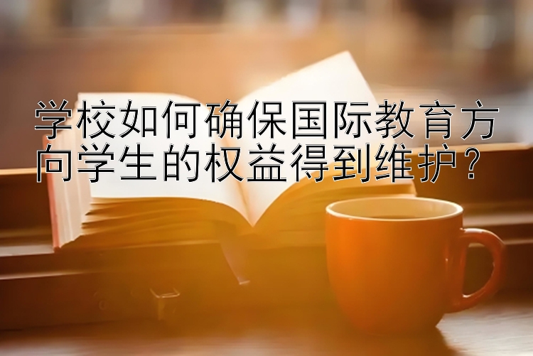 学校如何确保国际教育方向学生的权益得到维护？