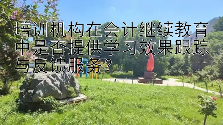 培训机构在会计继续教育中是否提供学习效果跟踪与反馈服务？