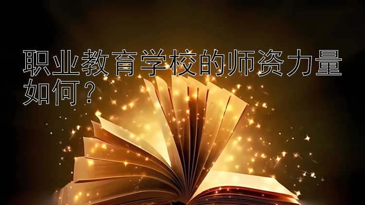 职业教育学校的师资力量如何？