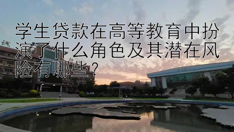 学生贷款在高等教育中扮演了什么角色及其潜在风险有哪些？