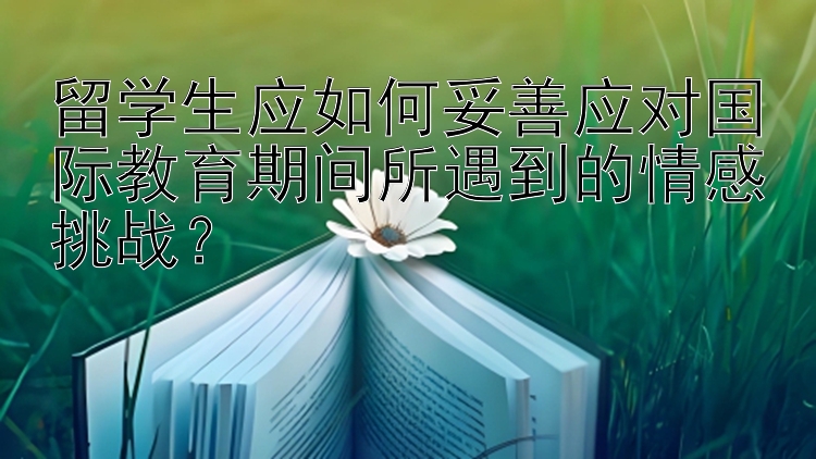 留学生应如何妥善应对国际教育期间所遇到的情感挑战？