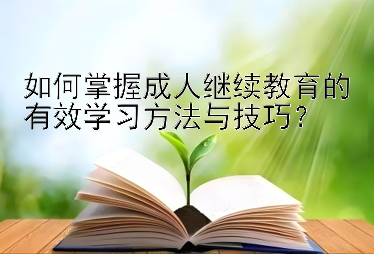 如何掌握成人继续教育的有效学习方法与技巧？