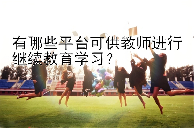 有哪些平台可供教师进行继续教育学习？