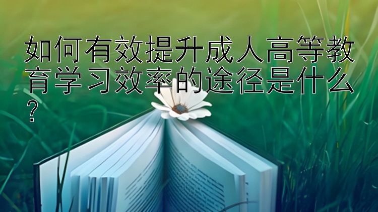 如何有效提升成人高等教育学习效率的途径是什么？