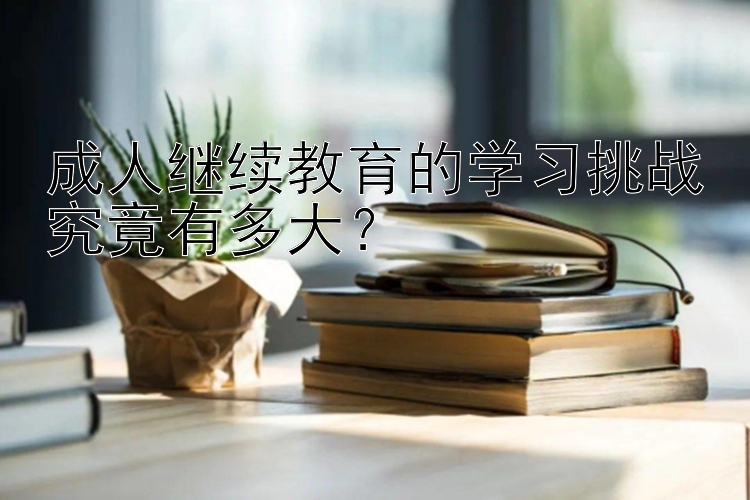 成人继续教育的学习挑战究竟有多大？